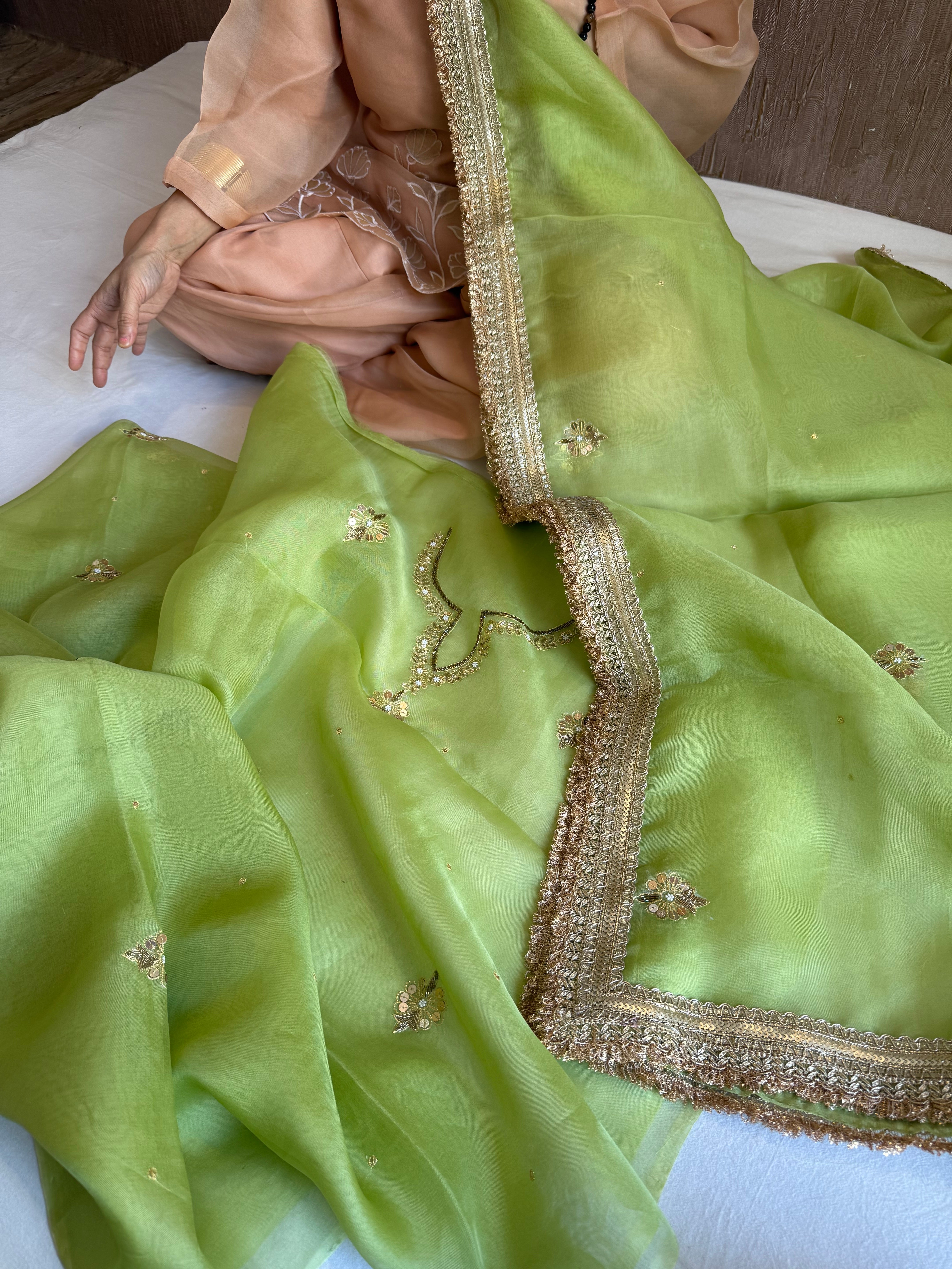 Aari and tilli kora silk hand embroidered grass green kadhwa suit set