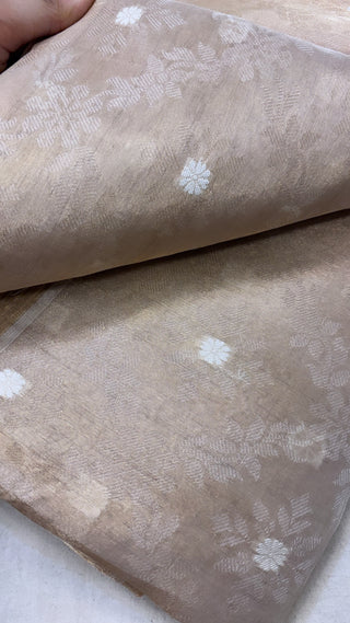 Tissue tanchoi silk dyeable fabric