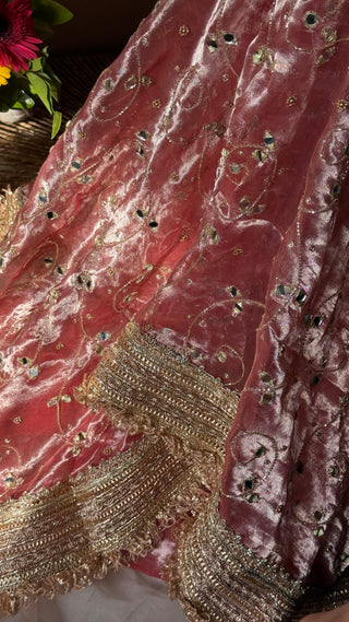 Gajri sheeshmahal saree - Mirror work hand embroidered heavy banarasi tissue silk saree