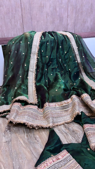 Mastani panna green tissue silk kadhwa buti dhup chao effect lehenga set