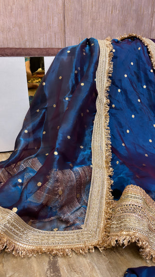 Mastani peacock blue tissue silk kadhwa buti dhup chao effect lehenga set