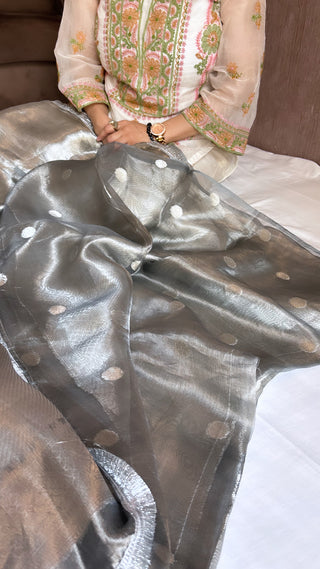 Metallic silver tissue brocade saree