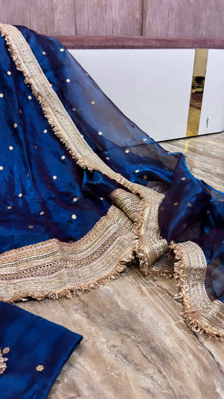 Mastani peacock blue tissue silk kadhwa buti dhup chao effect lehenga set