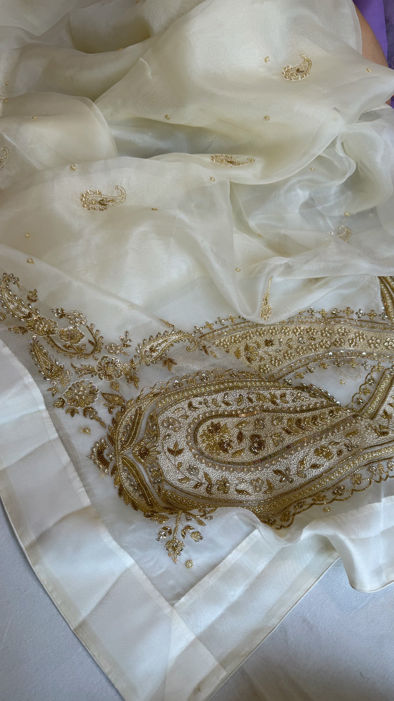 Champagne ivory organza silk satin border hand embroidered kadhwa saree