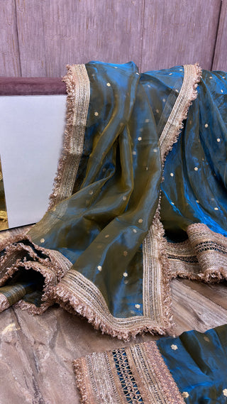 Mastani coral blue-olive tissue silk kadhwa buti dhup chao effect lehenga set