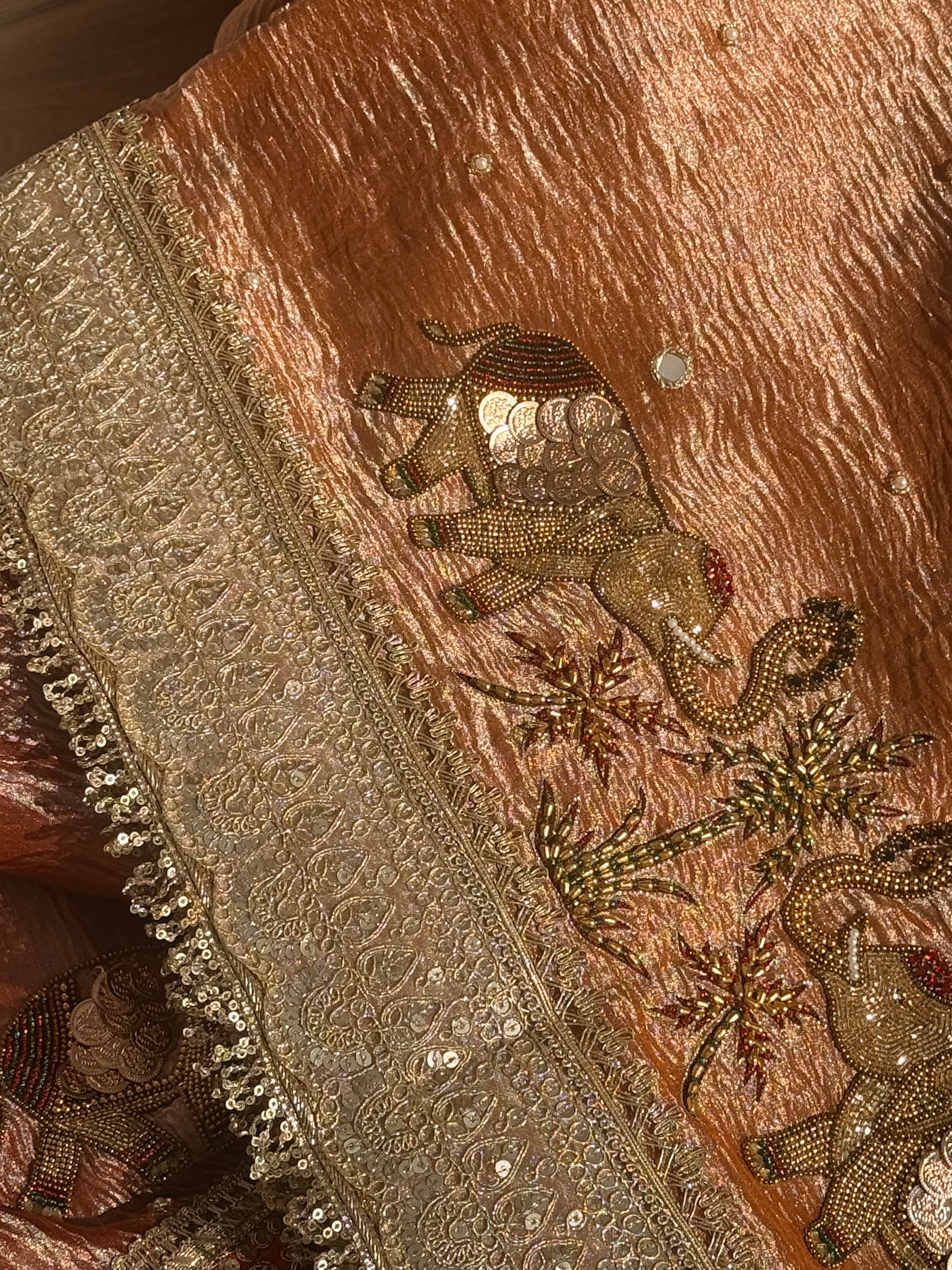 Crushed tissue edit - Hathi coinwork hand embroidered gajri pink saree