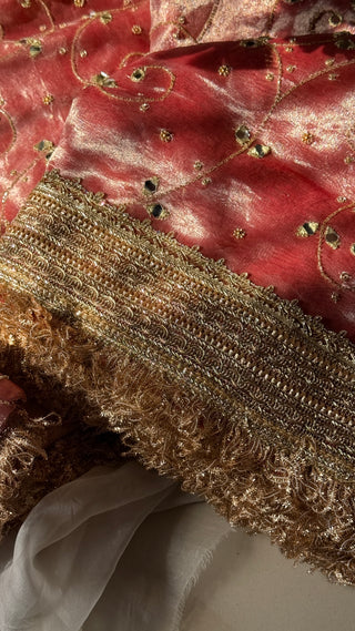 Gajri sheeshmahal saree - Mirror work hand embroidered heavy banarasi tissue silk saree