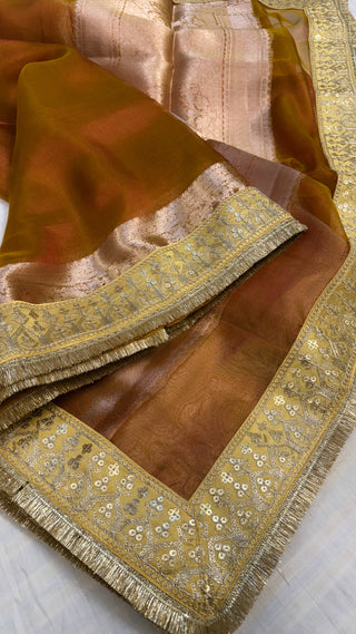 Dusty orange maharani tissue silk meenakari border saree