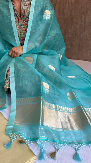 Banarasi moss green-firozi blue contrast chiniya silk kadhwa suit sets