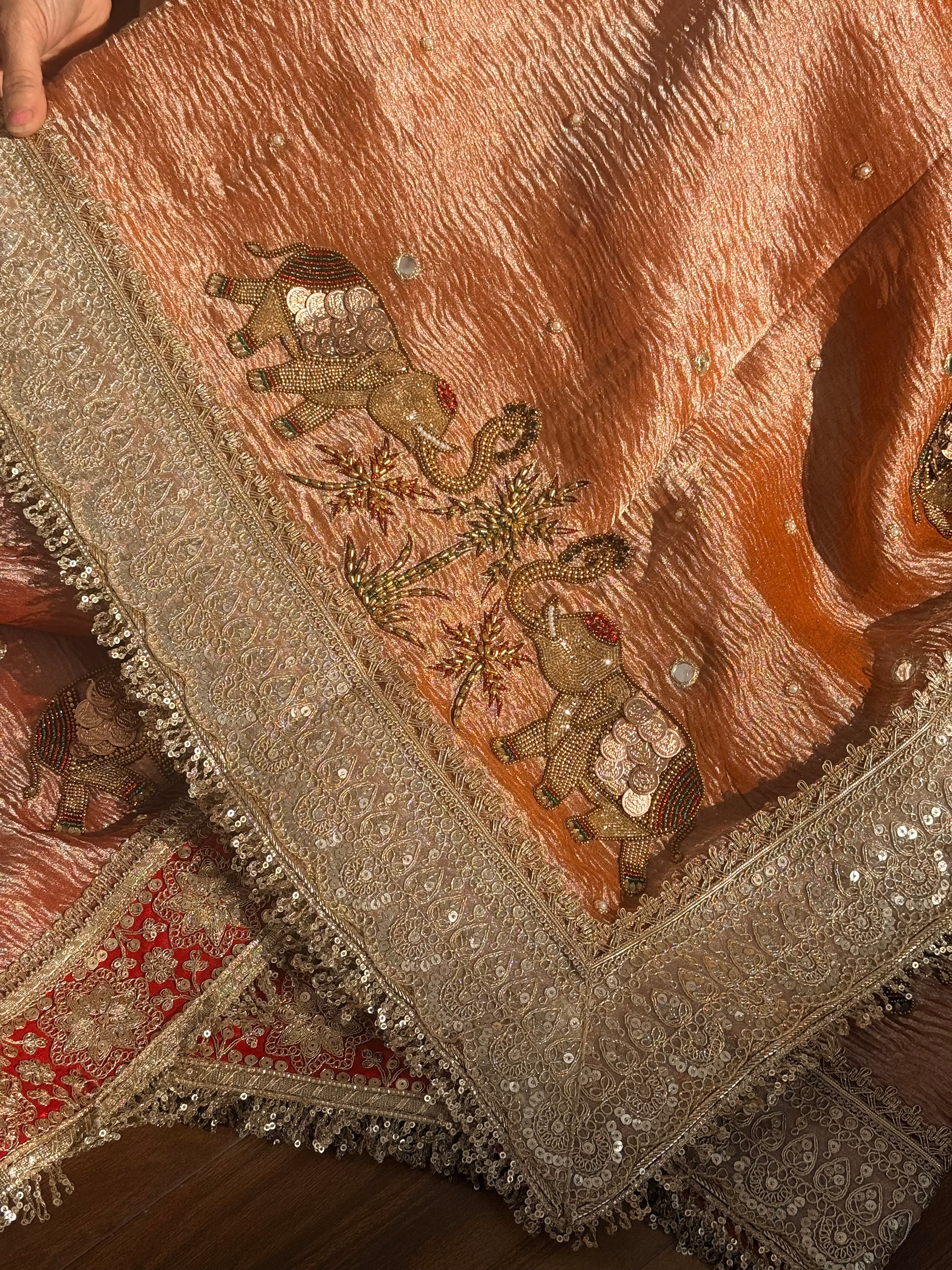 Crushed tissue edit - Hathi coinwork hand embroidered gajri pink saree