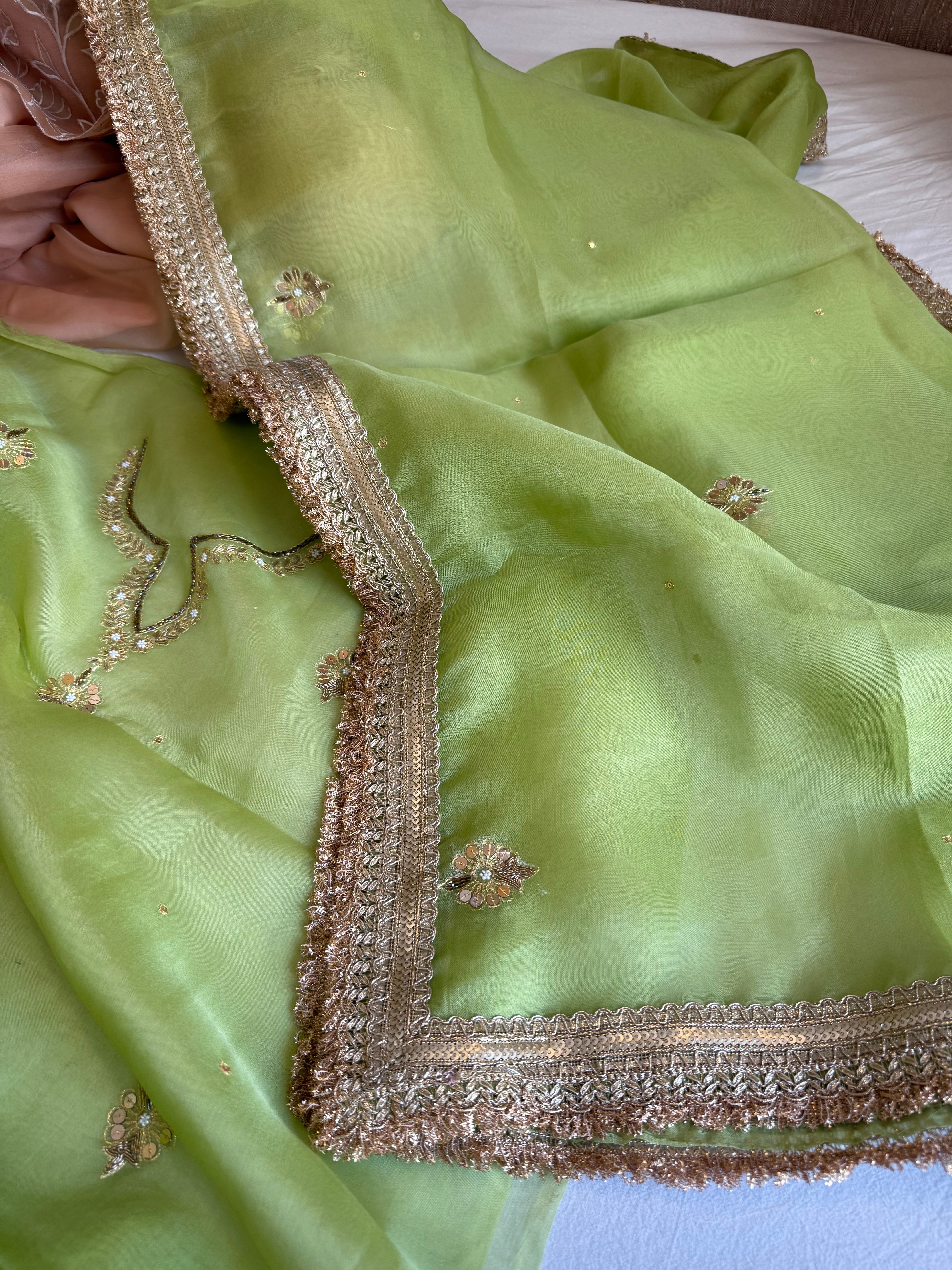 Aari and tilli kora silk hand embroidered grass green kadhwa suit set