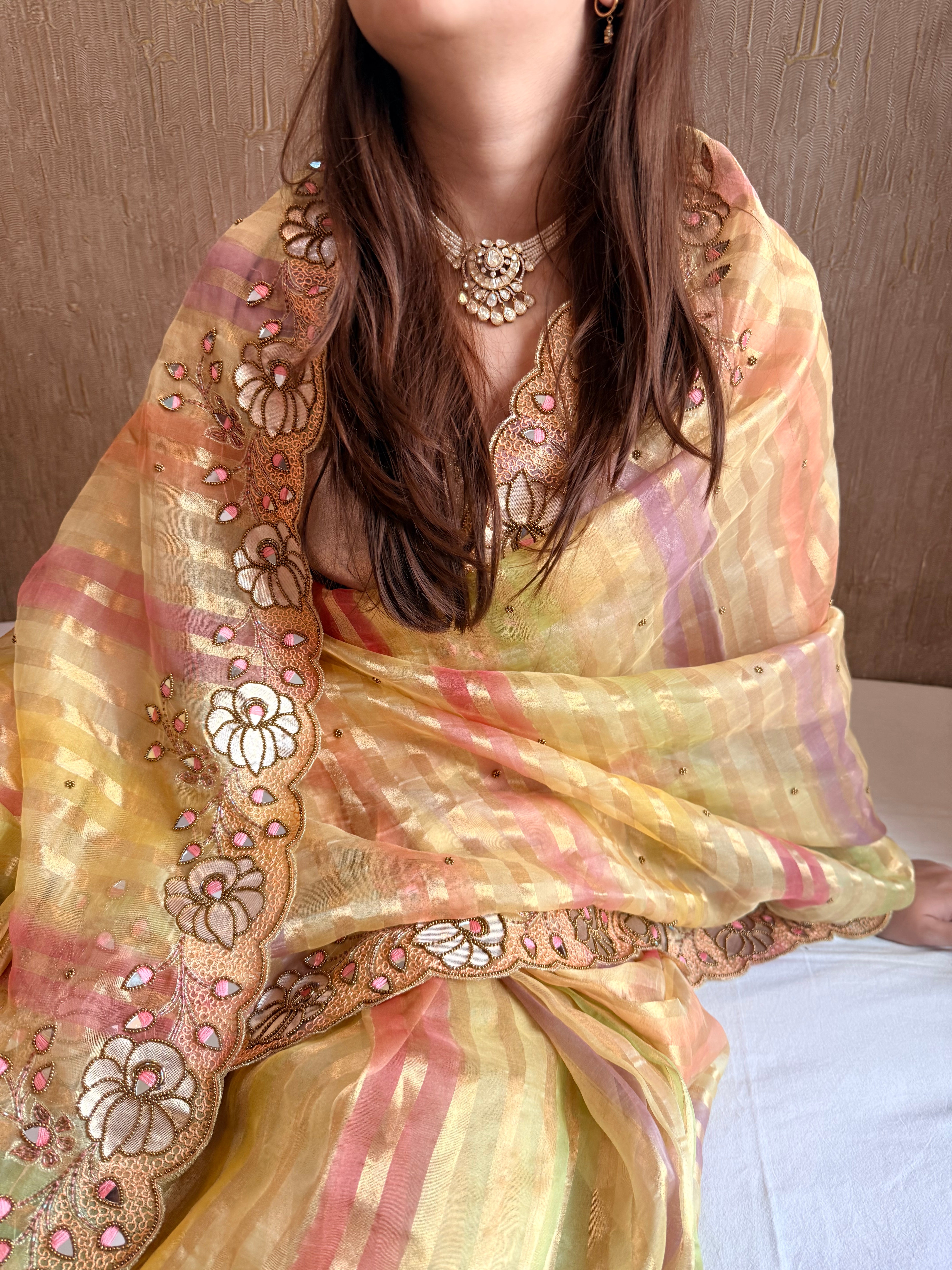 Phool wali rangeen tissue silk striped rangkaat hand embroidered saree