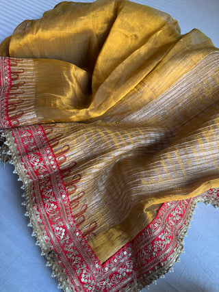 Kanjivaram gold dhup chao effect pleated maharani tissue silk saree