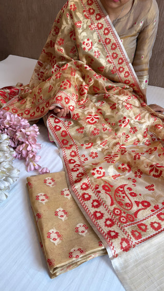 Iktara tissue silk red meenakari jungla jamdani suit set