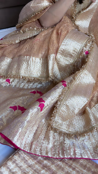 Nude pink tissue silk kali wala lehenga