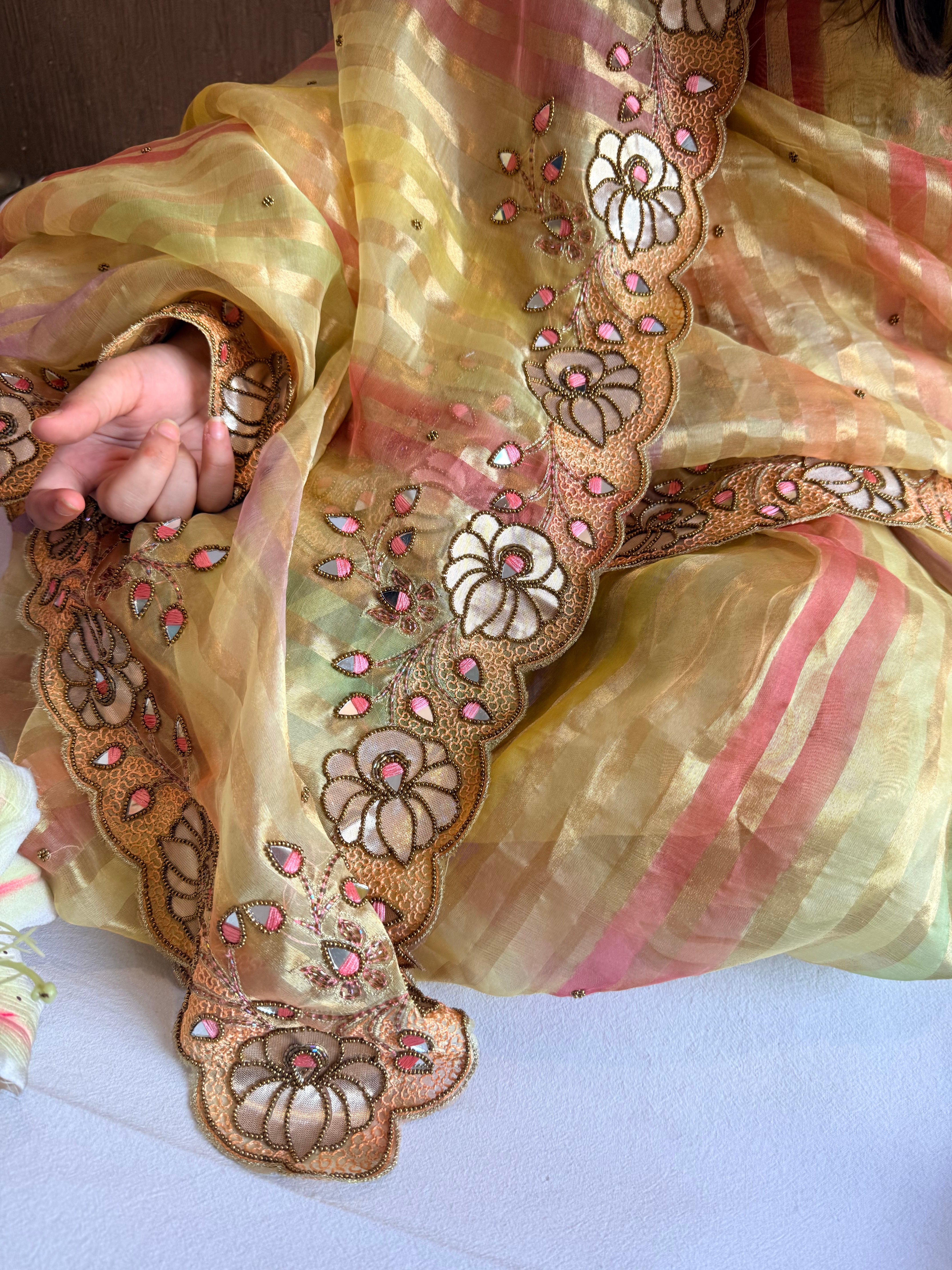 Phool wali rangeen tissue silk striped rangkaat hand embroidered saree