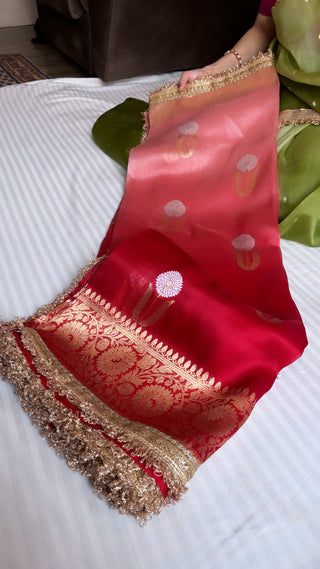 Tamatar laal shade leela kora silk kadhwa buti saree