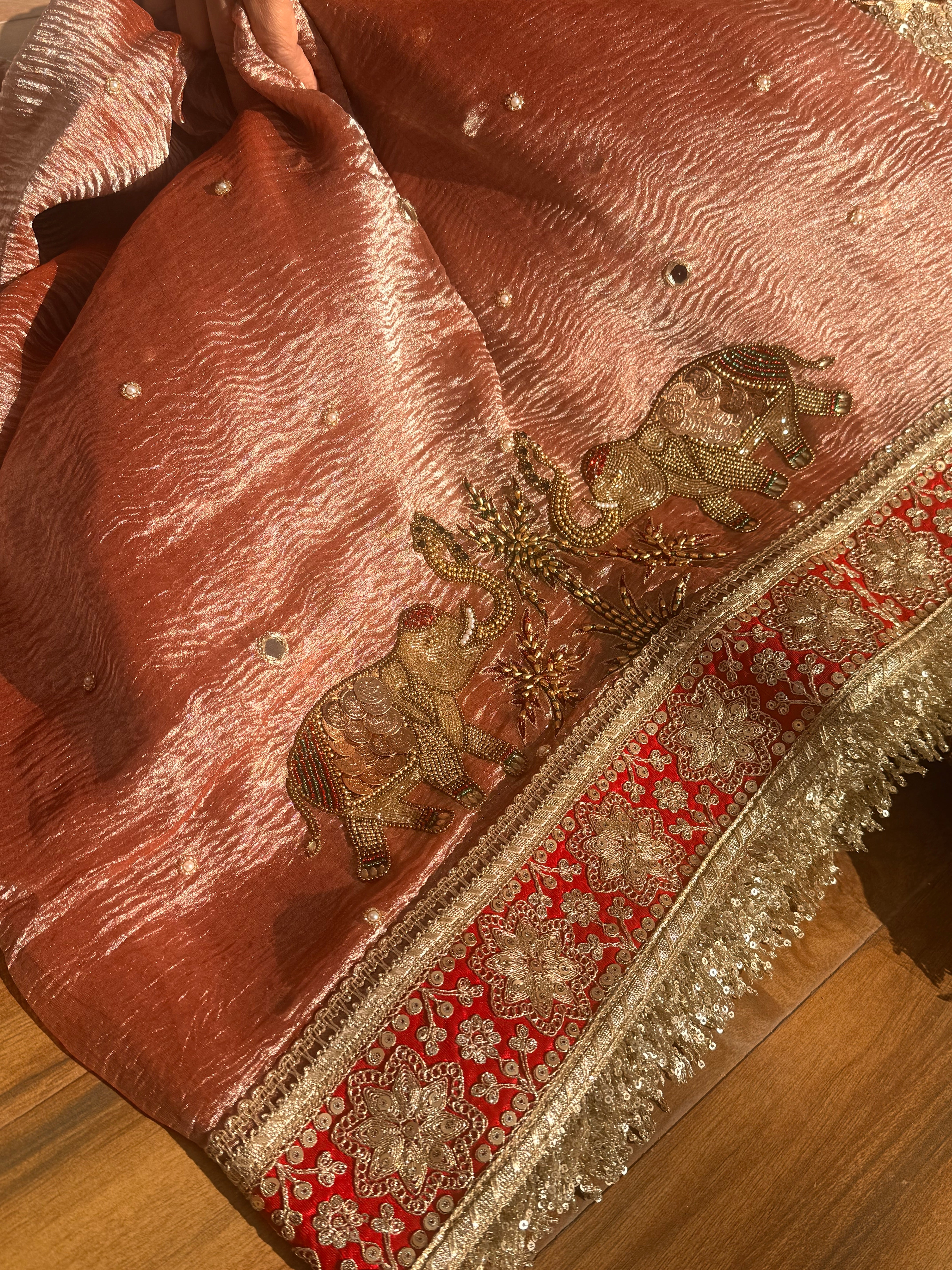 Crushed tissue edit - Hathi coinwork hand embroidered gajri pink saree