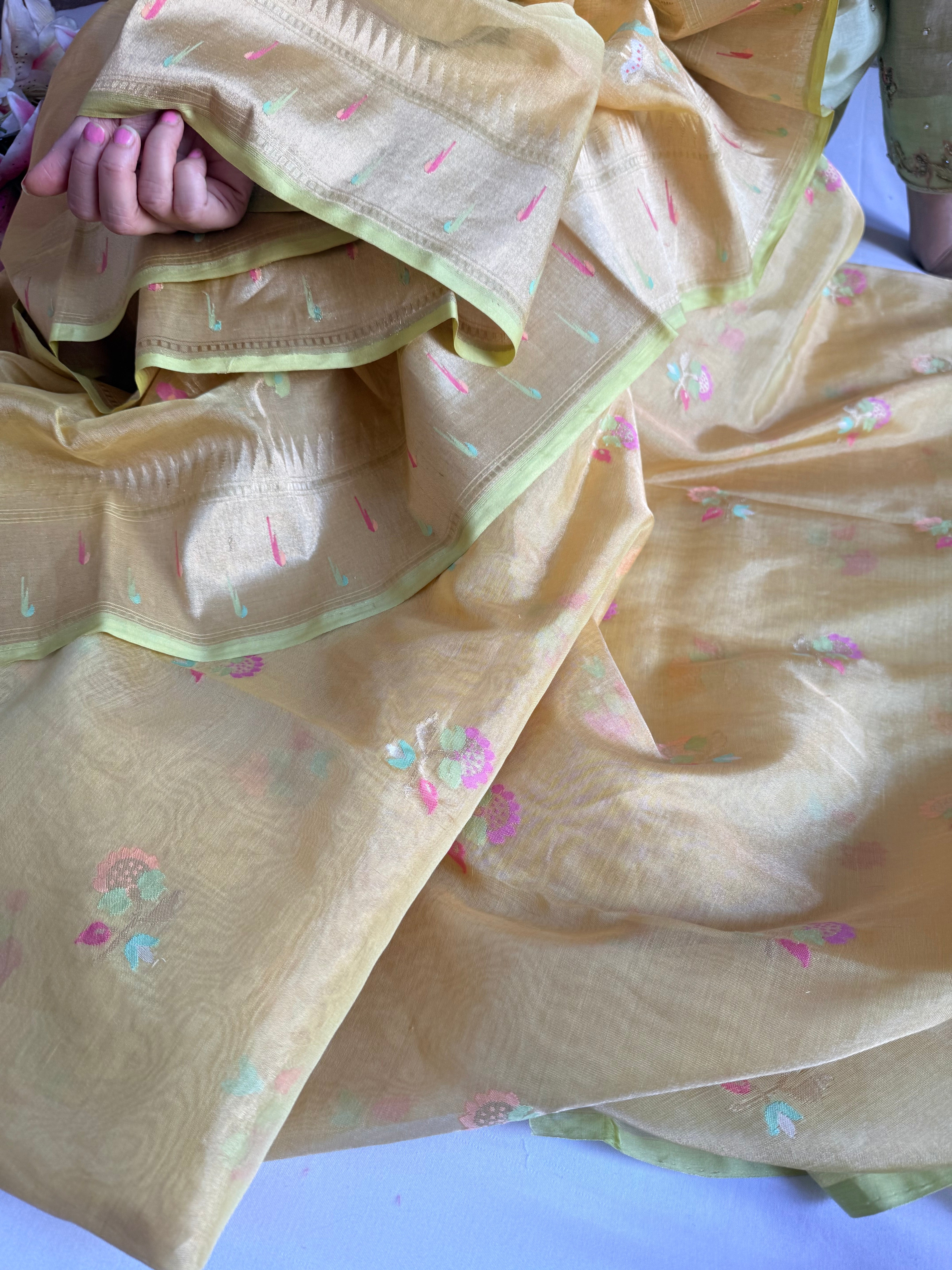 Lime gold mul tissue iktara jamdani paithani border suit set