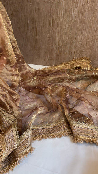Printed tissue silk kadhwa hand embroidered gotapatti saree