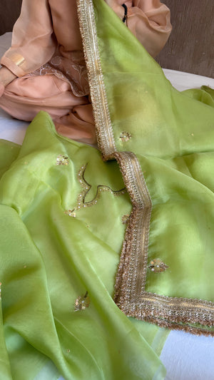 Aari and tilli kora silk hand embroidered grass green kadhwa suit set