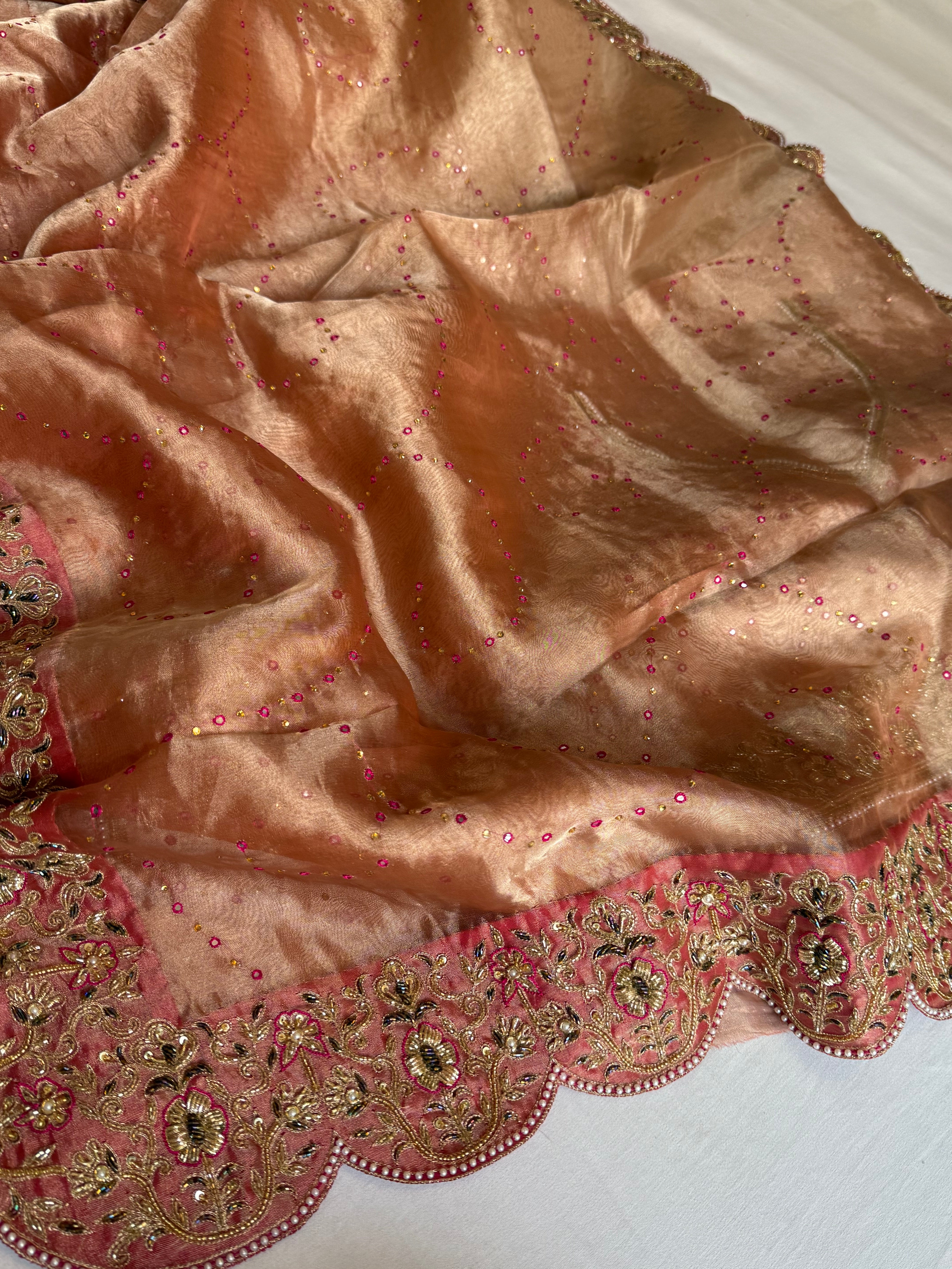 Umrao jaan inspired double diamond tissue silk zardozi work hand embroidered saree
