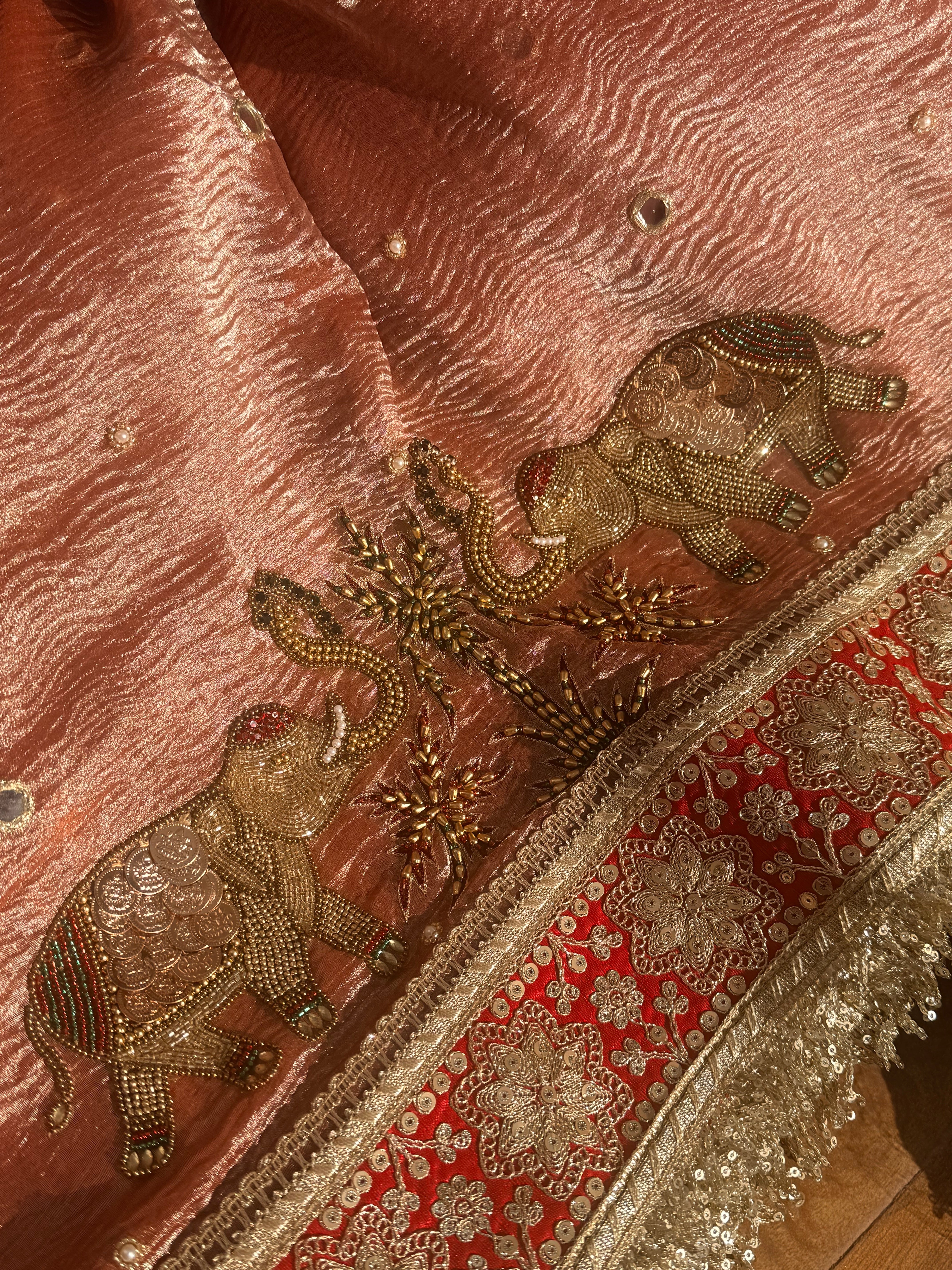 Crushed tissue edit - Hathi coinwork hand embroidered gajri pink saree
