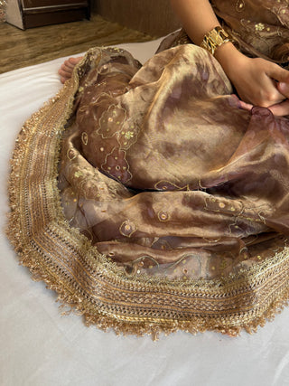 Printed tissue silk kadhwa hand embroidered gotapatti saree