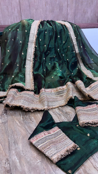 Mastani panna green tissue silk kadhwa buti dhup chao effect lehenga set