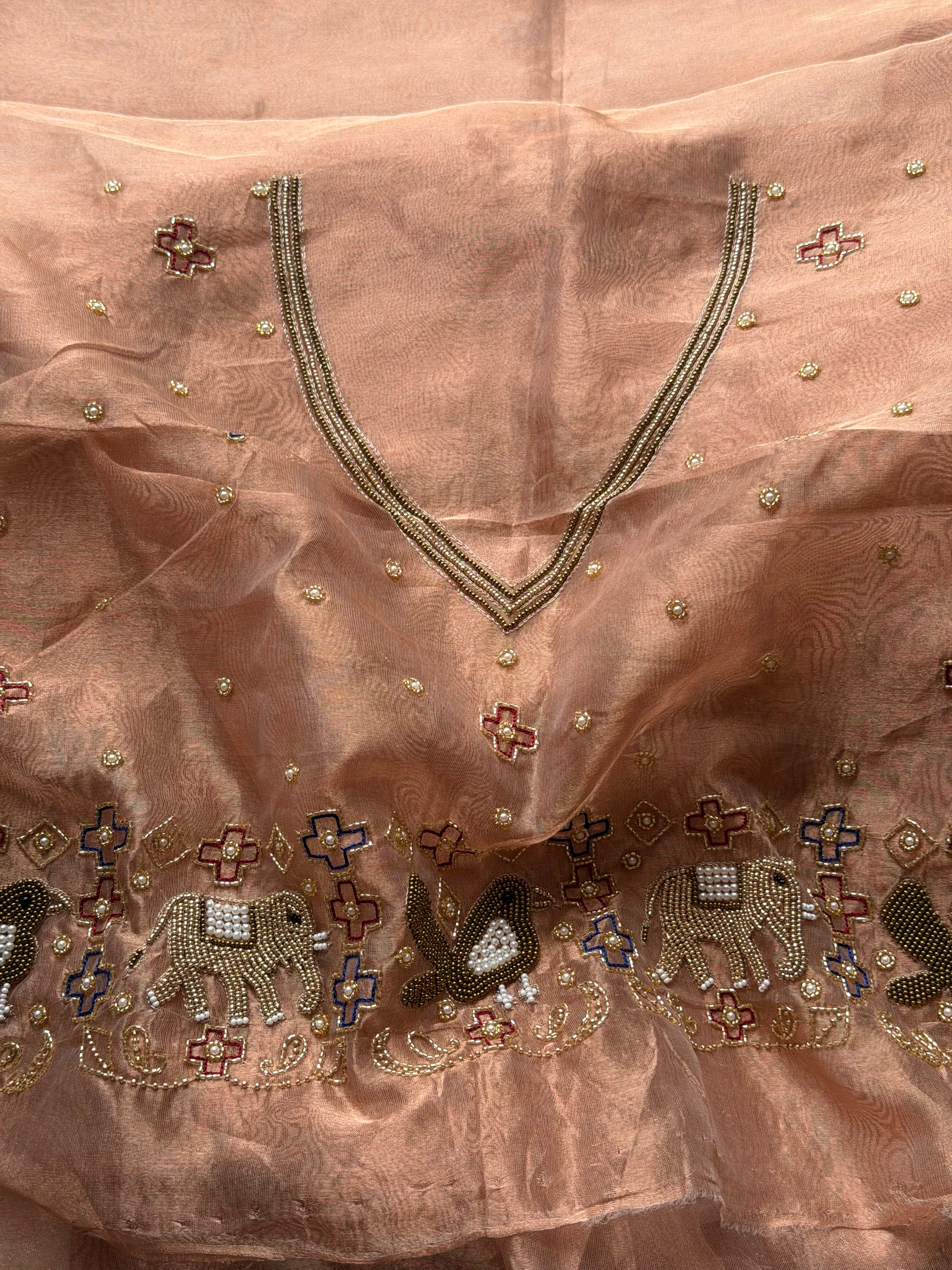 Hathi & chiriya wali border copper tissue silk hand embroidered saree